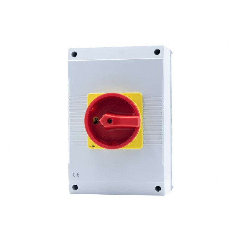 Wyłącznik w obudowie WS-100 100A 3P 0/1 IP65