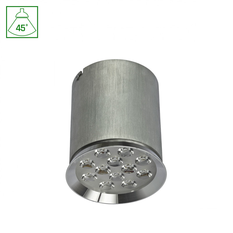 CHLOE 12LED 230V 12W IP20 45st CW SUFITOWE