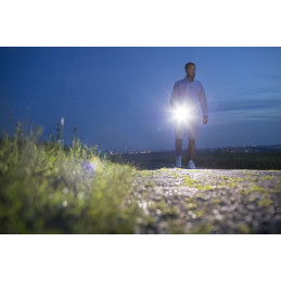 Latarka LED LuxPremium TL 410 F, IP44, 350lm